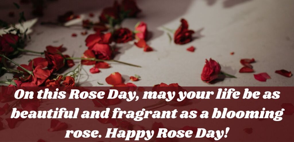 rose day quotes for husband