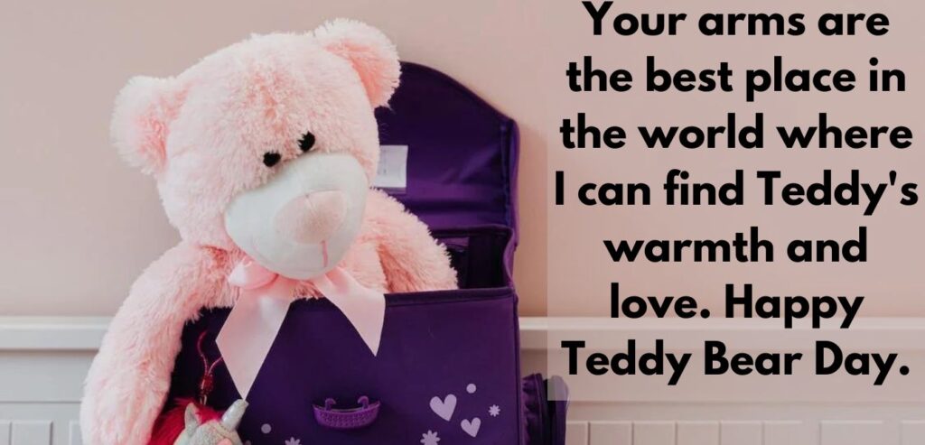 teddy love quotes short